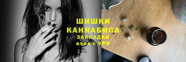 сатива Арсеньев