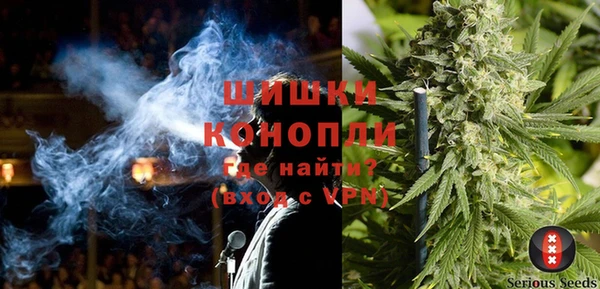 ГАЛЛЮЦИНОГЕННЫЕ ГРИБЫ Баксан