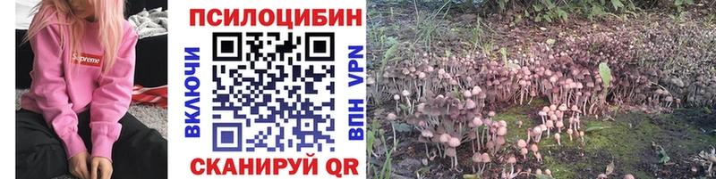 Галлюциногенные грибы Psilocybine cubensis  как найти закладки  Ульяновск 